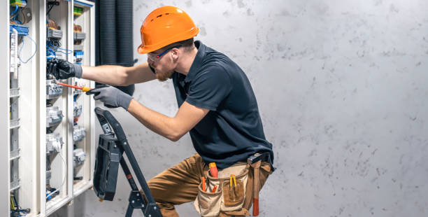Best Electrical Upgrades for Homes  in Viola, IL