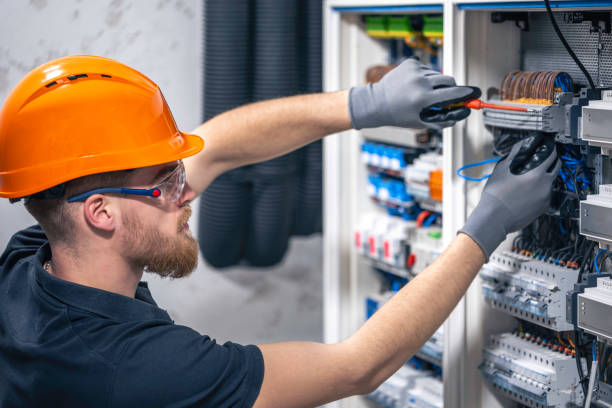 Best Electric Panel Repair  in Viola, IL
